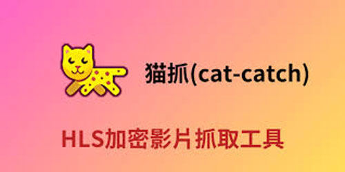 使用Cat Catch下載