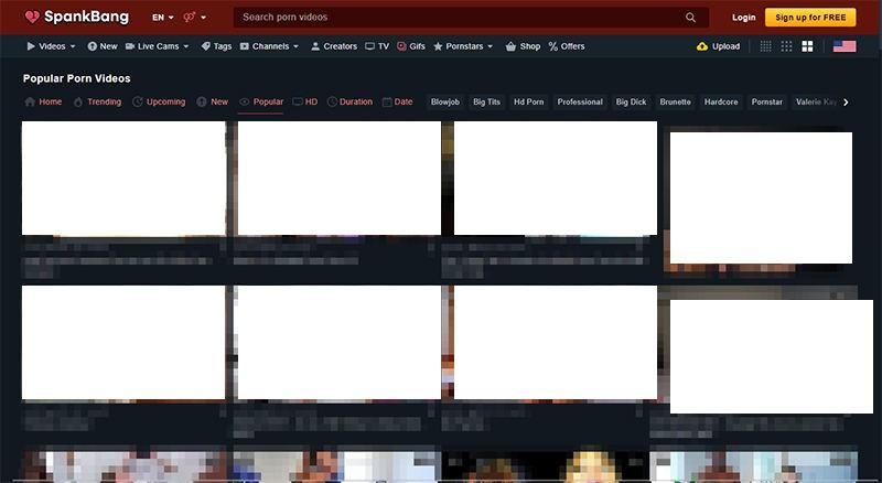 OnlyFans 外流平台